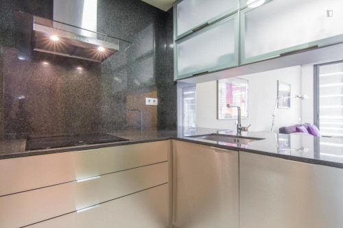Fantastic 3-bedroom apartment near the Arc de Triomf - Gallery - 27
