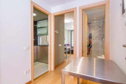 Fantastic 3-bedroom apartment near the Arc de Triomf
