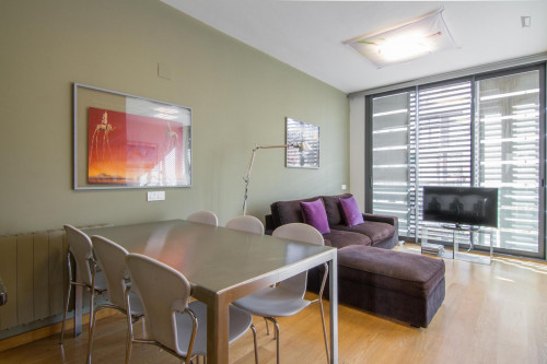 Fantastic 3-bedroom apartment near the Arc de Triomf - Gallery - 17