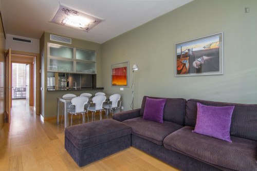 Fantastic 3-bedroom apartment near the Arc de Triomf - Gallery - 30