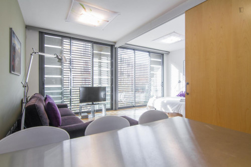 Fantastic 3-bedroom apartment near the Arc de Triomf - Gallery - 32
