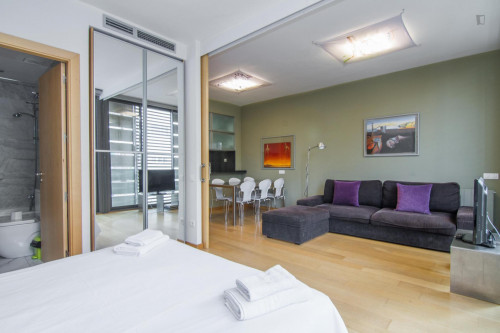 Fantastic 3-bedroom apartment near the Arc de Triomf - Gallery - 13