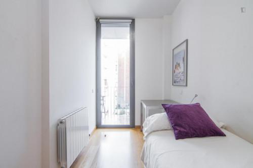 Fantastic 3-bedroom apartment near the Arc de Triomf - Gallery - 22