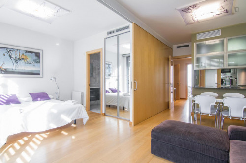 Fantastic 3-bedroom apartment near the Arc de Triomf