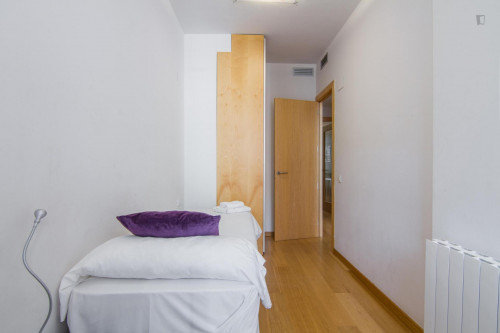 Fantastic 3-bedroom apartment near the Arc de Triomf - Gallery - 21