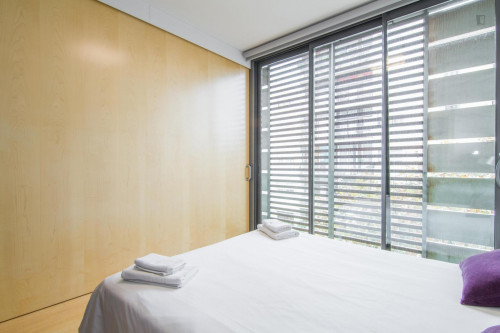 Fantastic 3-bedroom apartment near the Arc de Triomf - Gallery - 14