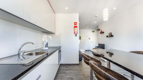 Red Velvet 1 BDR Flat With Balcony - Gallery - 15