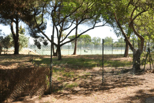 Tenis Golf Mar (nov-april only) - Gallery - 13
