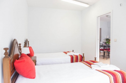 Perfect and comfy studio not far from Jardins do Palácio de Cristal