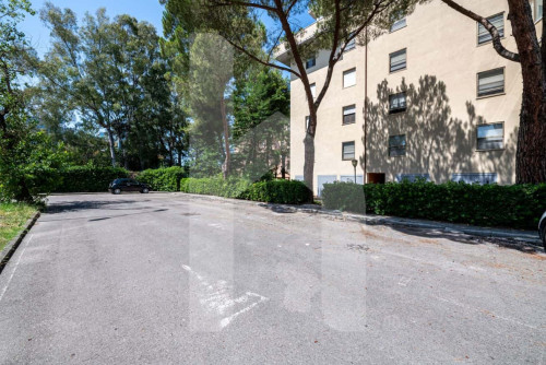 [New House] Pisa - Aeroporto [Free Parking]