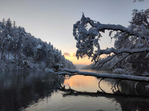 Petite Rheinblick: Einzigartige Villa am Fluss
