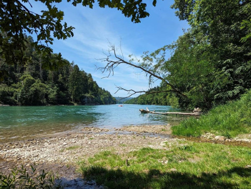 Petite Rheinblick: Einzigartige Villa am Fluss  - Gallery -  5