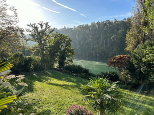 Petite Rheinblick: Einzigartige Villa am Fluss