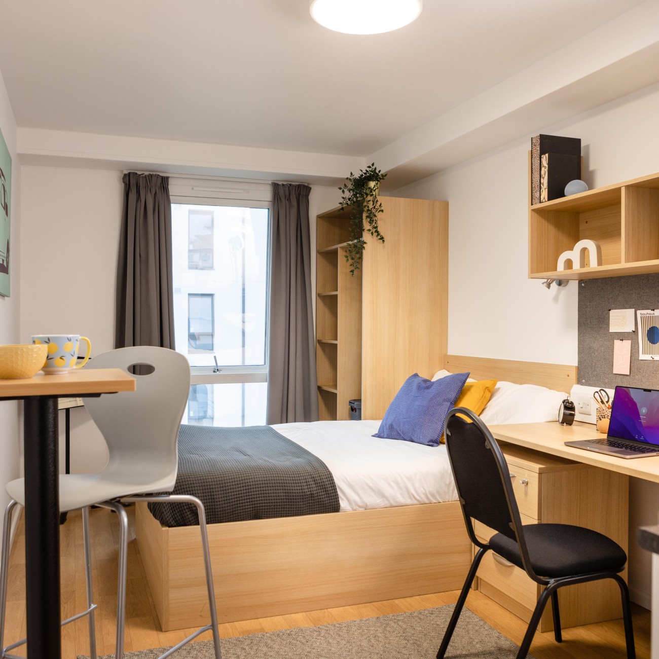 Studio - Prince Consort Village - Gallery - 1