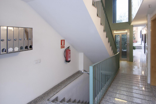 Beautiful 3-bedroom apartment in Fort Pienc - Gallery - 12