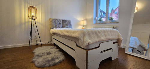 Apartment in Ecklenstraße, Stuttgart for 55 m² with 1 bedroom