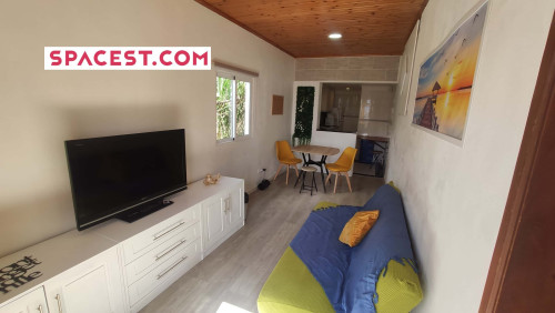 Cozy Apartment in Vereda do Amparo, Funchal