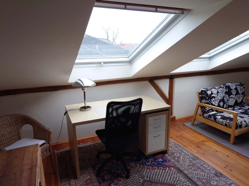 Apartment in Leubnitzer Straße, Dresden for 160 m² with 3 bedrooms - Gallery - 58