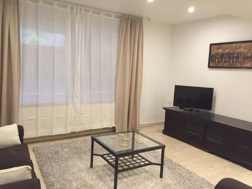 Souterrain Appartement ruhig und zentral 1  - Gallery -  5