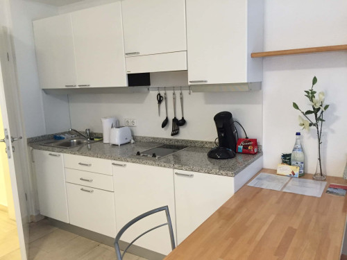 Stilvolles Wohnung am Hofgarten 3  - Gallery -  5