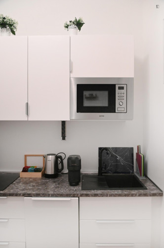 Passionate Studio close to Opera Metro