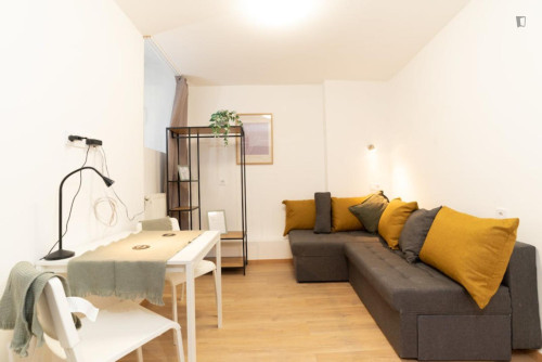 Restful studio in District VII.