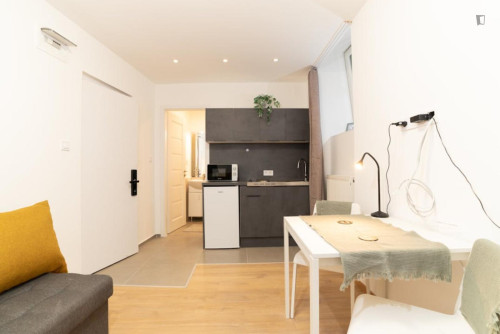 Restful studio in District VII.