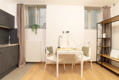 Restful studio in District VII.