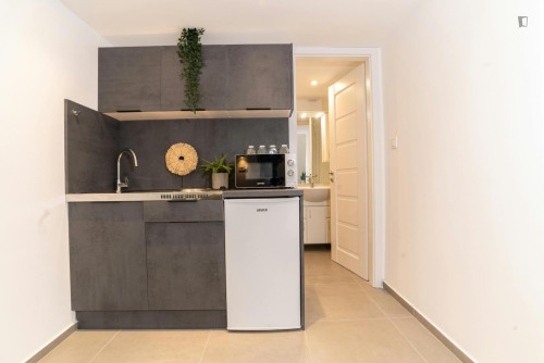 Tasteful studio in District VII.  - Gallery -  5