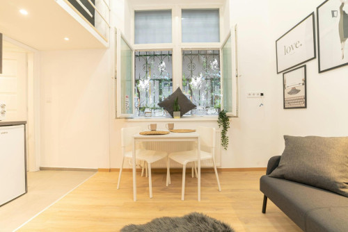 Tasteful studio in District VII.