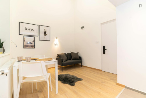 Tasteful studio in District VII.