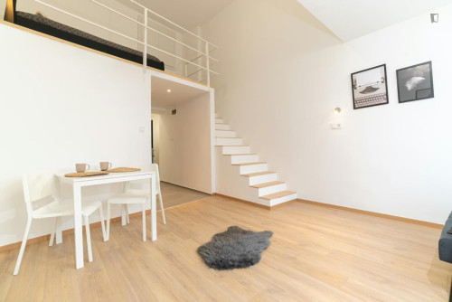 Welcoming studio in District VII.