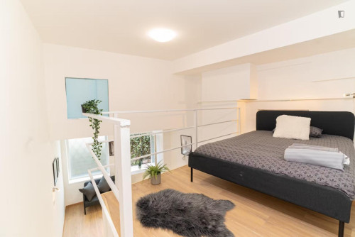 Welcoming studio in District VII.