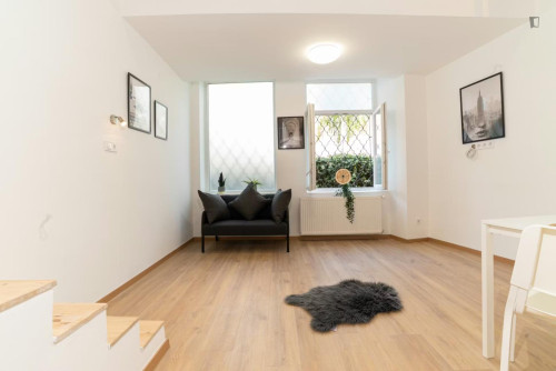 Welcoming studio in District VII.