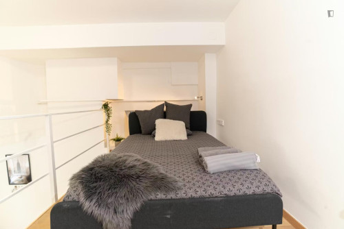 Welcoming studio in District VII.