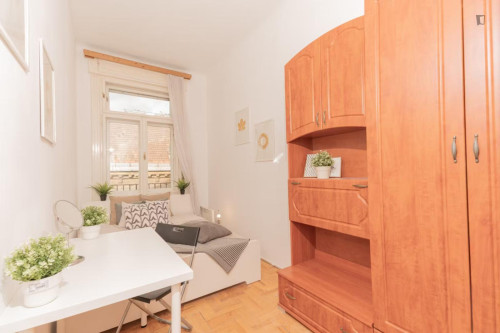 Cosy double bedroom near Budapest-Keleti station