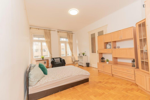 Pleasant double bedroom near Budapest-Keleti station