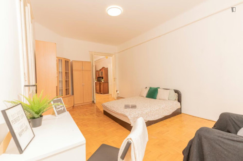 Pleasant double bedroom near Budapest-Keleti station
