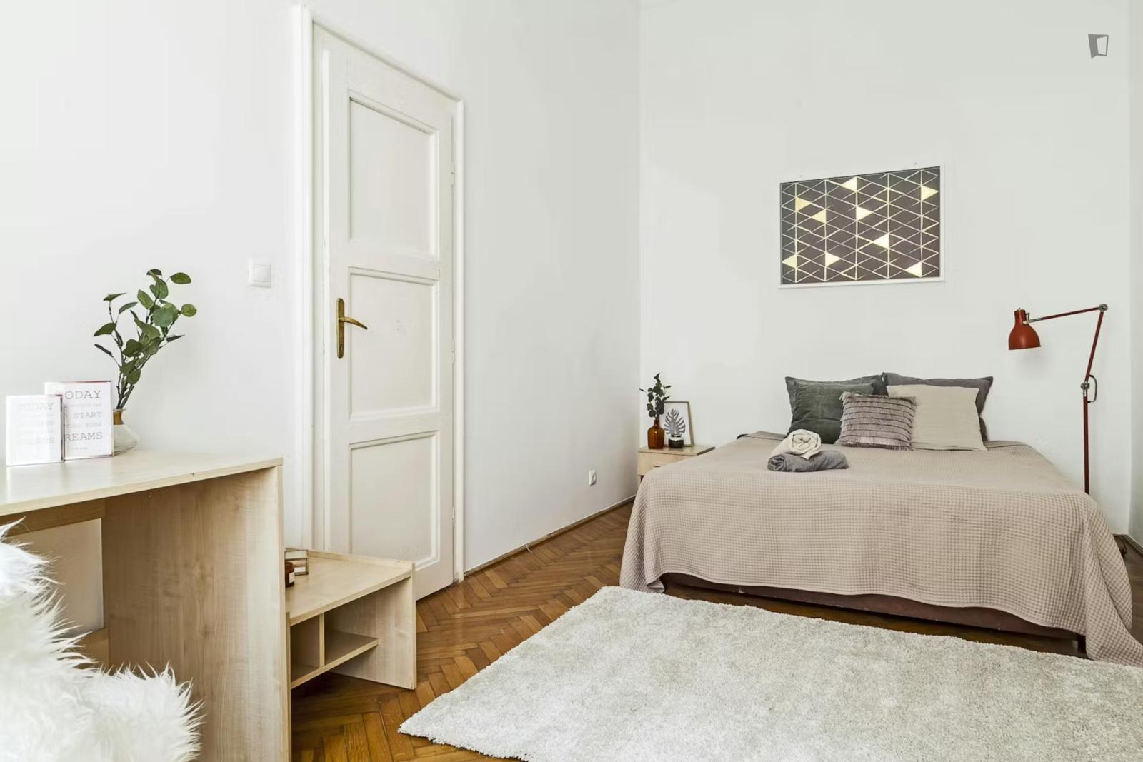 Comfy Double Bedroom Near Opera Metro - Comfy double bedroom near Opera metro - Gallery - 1