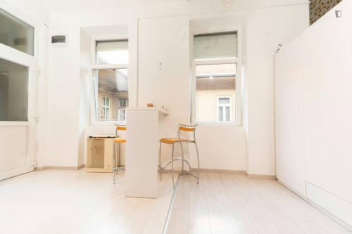 Comfy studio in Erzsébetváros