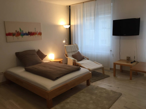 Ruhiges gemütliches Appartement am Hofgarten 9