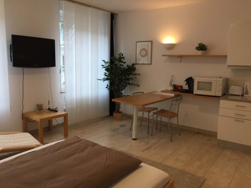 Ruhiges gemütliches Appartement am Hofgarten 9  - Gallery -  5