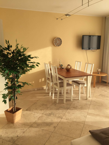 Ruhiges und gemütliches Appartement mit Balkon am Hofgarten 10