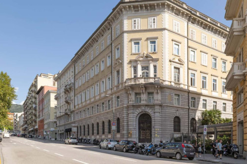 Coroneo - Gallery - 9