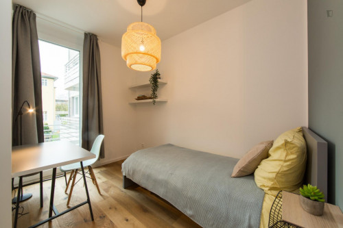 Single bedroom in 3-bedroom apartment