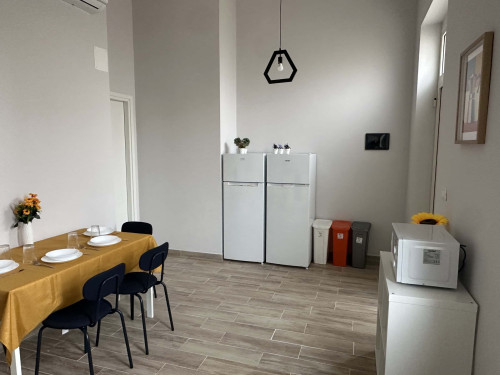 Single Room with Semi Private Bathroom – Walking Distance to Università degli Studi “G. d’Annunzio”, Pescara (Via Pindaro 42) .. Room n. 11