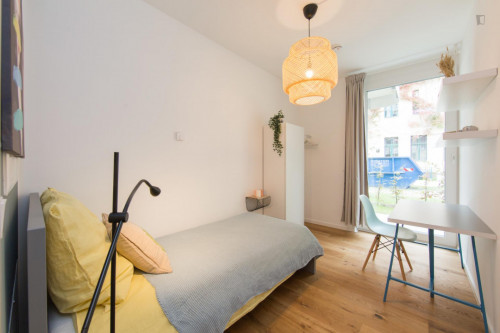 Single bedroom in 3-bedroom apartment