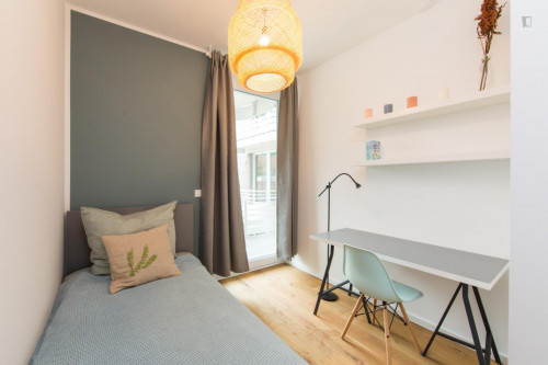 Single bedroom in 3-bedroom apartment