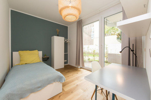 Single bedroom in 4-bedroom apartment