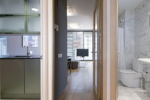 Awesome 3-bedroom apartment in L'Eixample - Gallery - 13